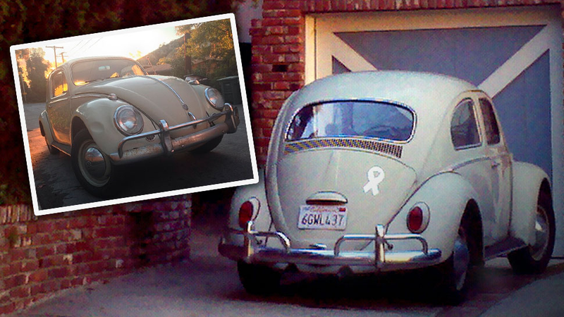 Illustration for article titled Help Find Iris, This Man's Stolen Beetle